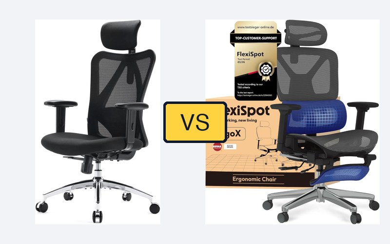 Sihoo M18 vs. Flexispot ErgoX: Das Budget-Duell